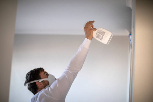 Best Home Mold Removal  in Lebanon, OH