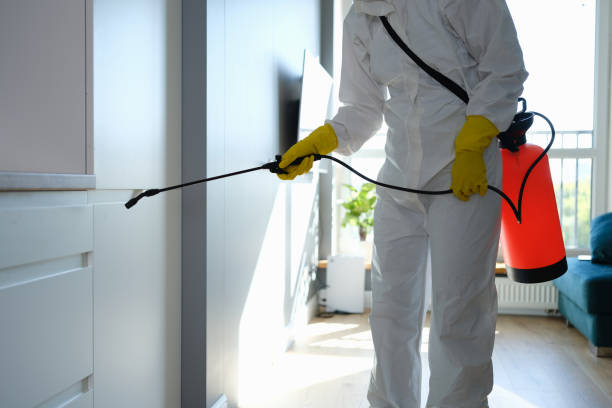 Best Mold Remediation  in Lebanon, OH